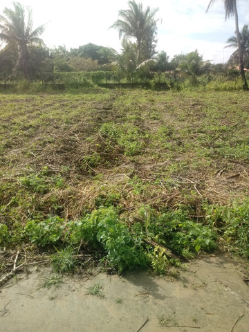 Terreno 15 mil