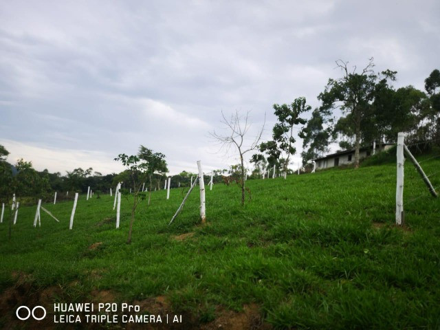 54V terreno com ótimo acesso