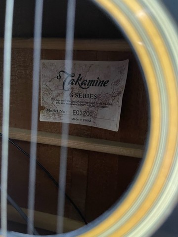 takamine eg3200