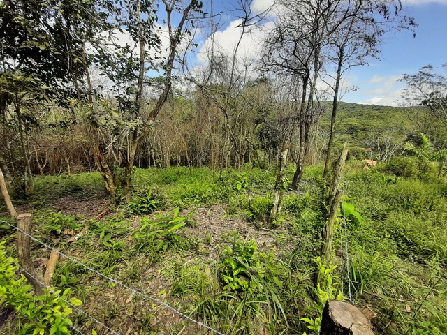 LOTES ENTRE MULUNGU E GUARAMIRANGA  - Foto 2