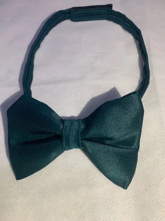 Gravata borboleta verde esmeralda