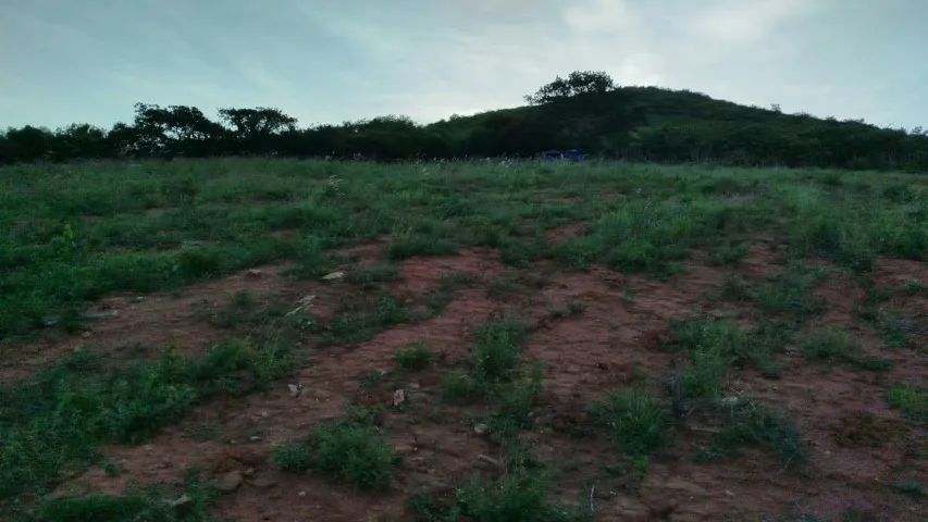 Fazenda em Riacho das Almas/PE à Venda (FA0076-DV) - Foto 3