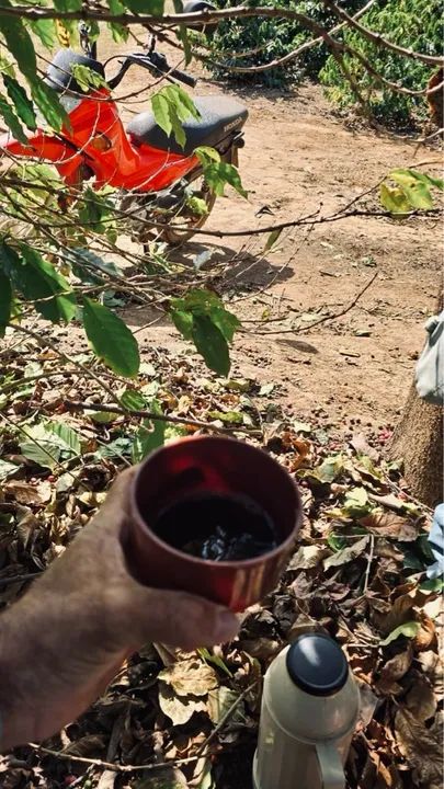 Café das Montanhas do Caparaó Capixaba - Foto 5