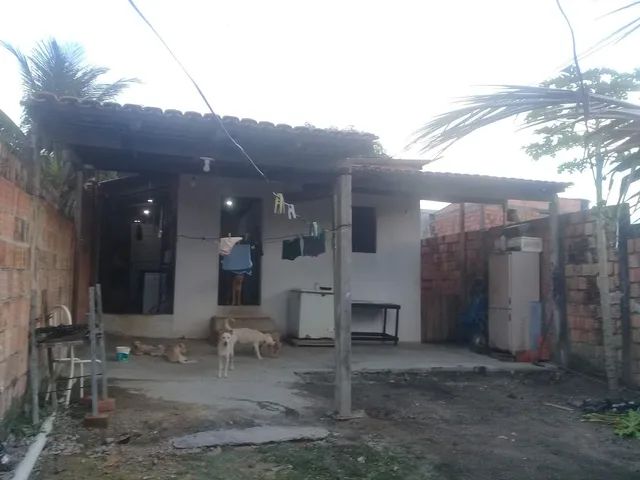 foto - Manaus - Lago Azul