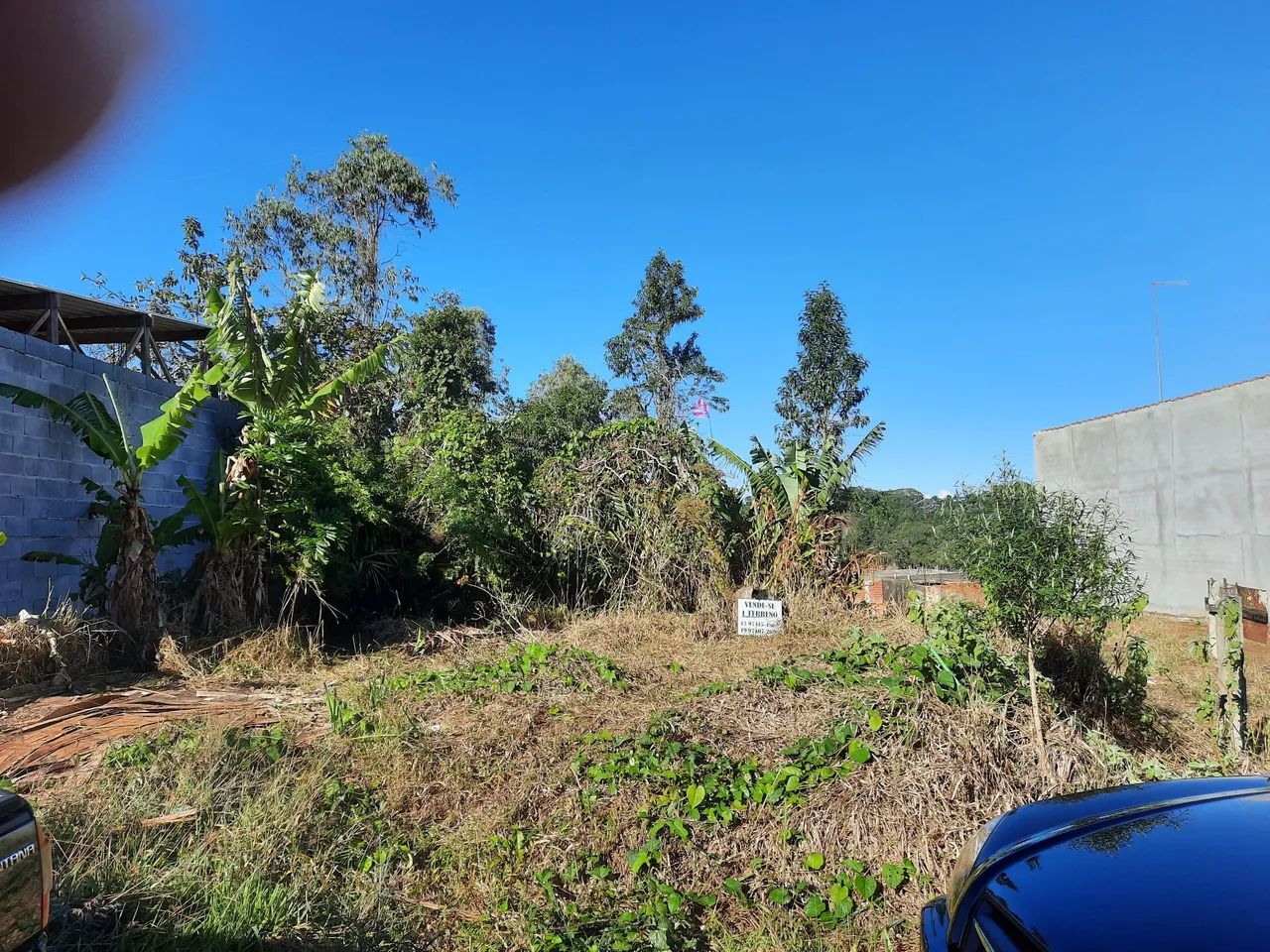 Terreno à venda - Oportunidade única! - Foto 5