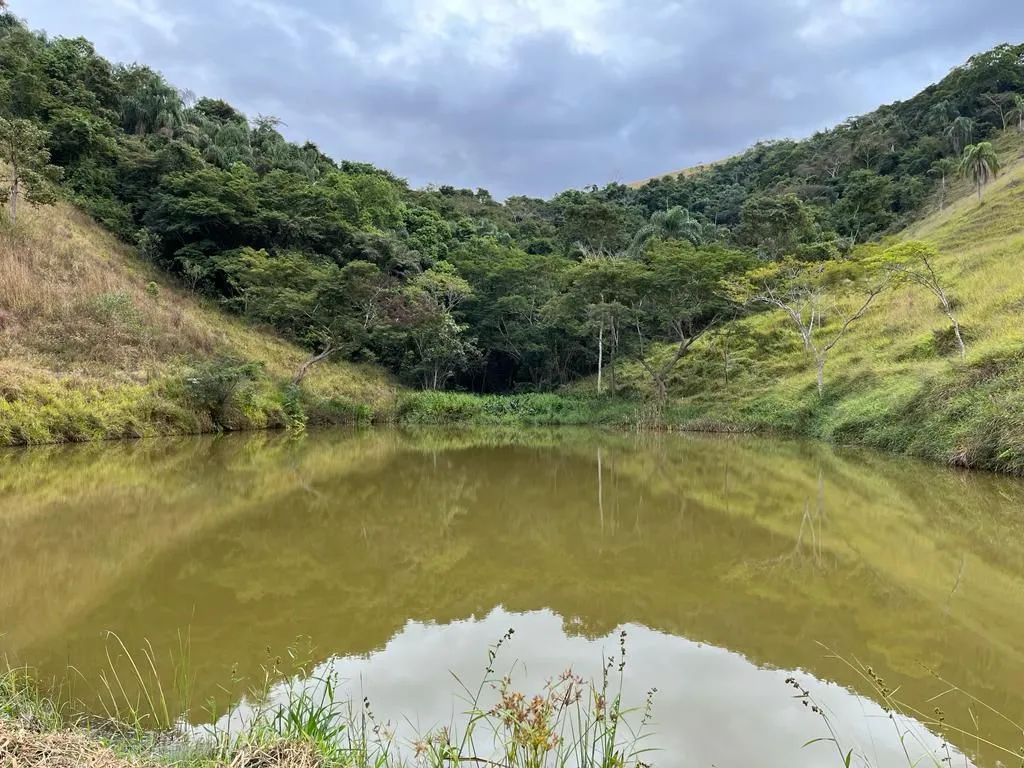 Paraíba do Sul - 11.5 alqueires. Oportunidade única! - Foto 11