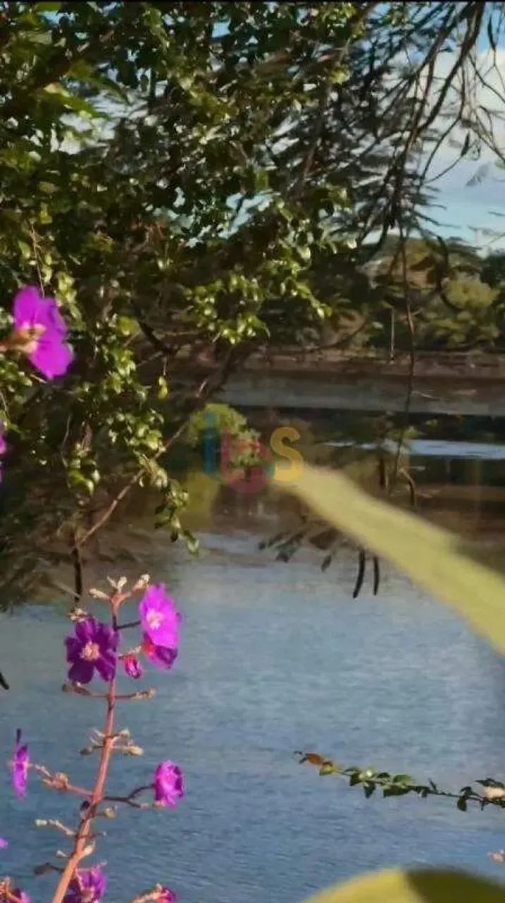 Fazenda de Luxo