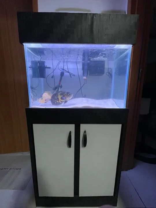 Aquário completo 80L - Foto 5