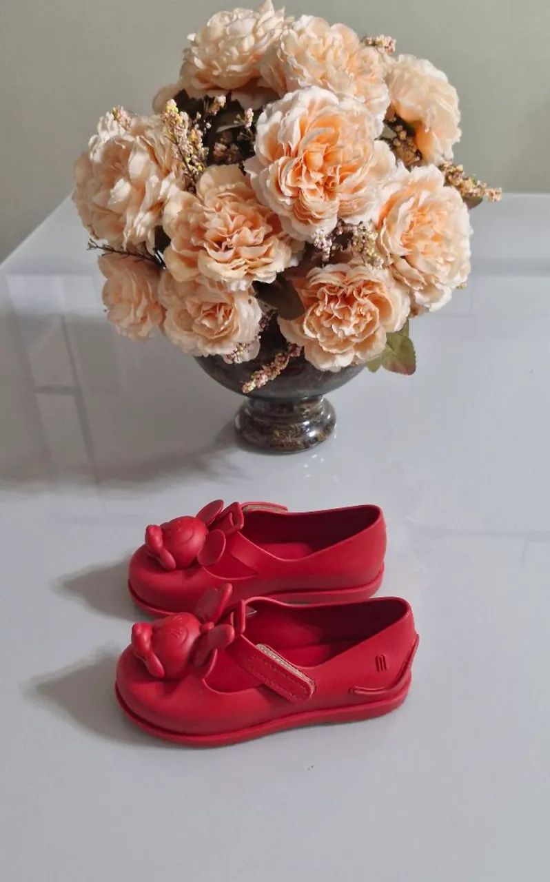 Mini melissa  - Foto 2