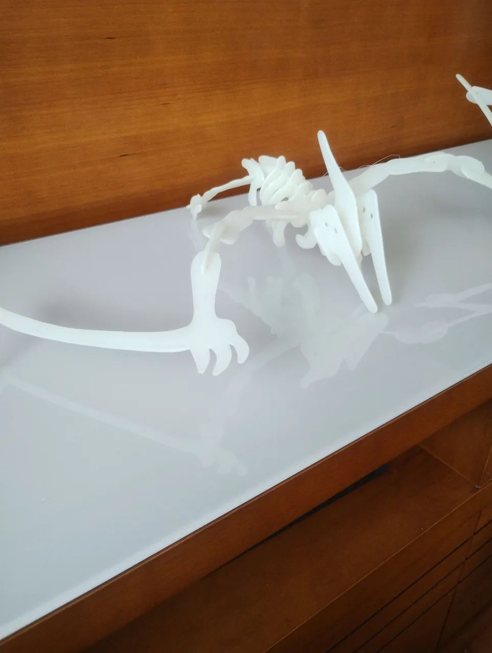 Esqueleto de Pterodáctilo Brilhante  - Foto 2