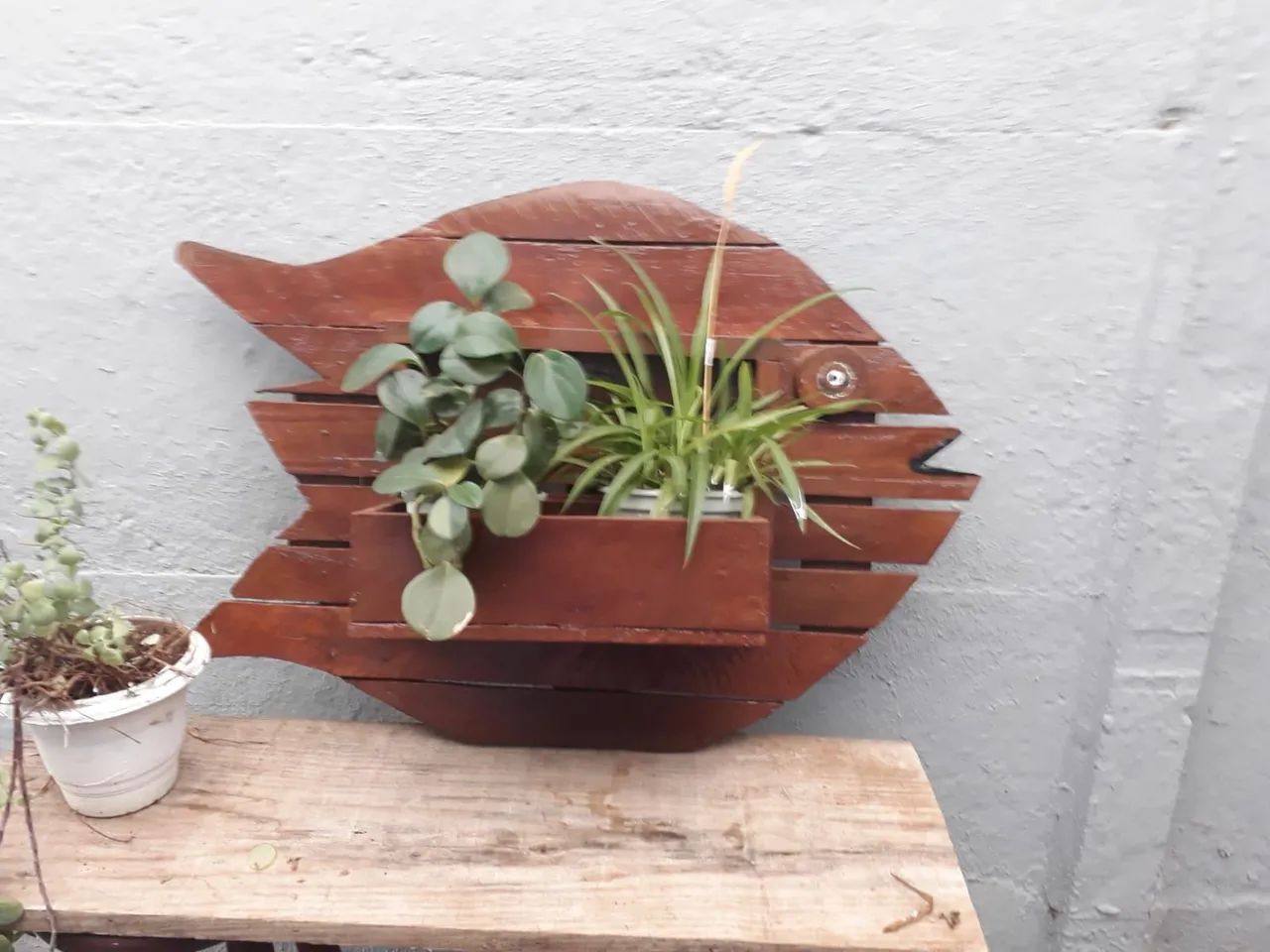 Suporte Para Planta ( Peixe)