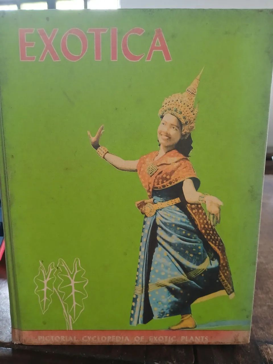 Livro Tropica - Foto 2