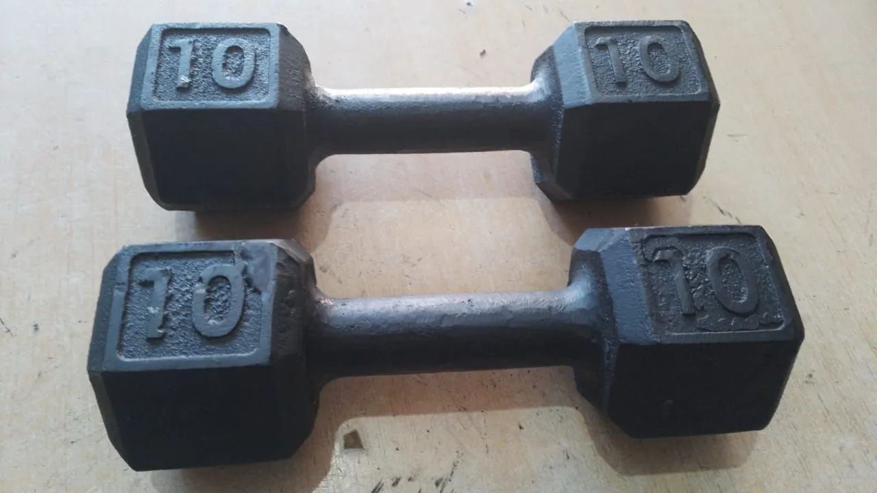 Par de Halteres de 10kg