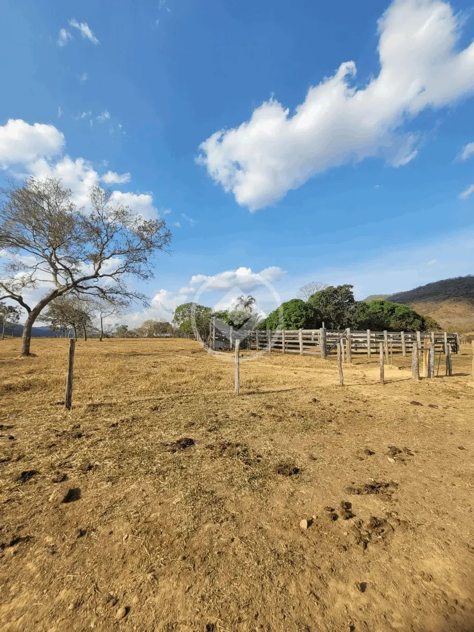 Sítio 91ha região de Cáceres-MT R$ 2.000.000,00 codigo: 53474 - Foto 3