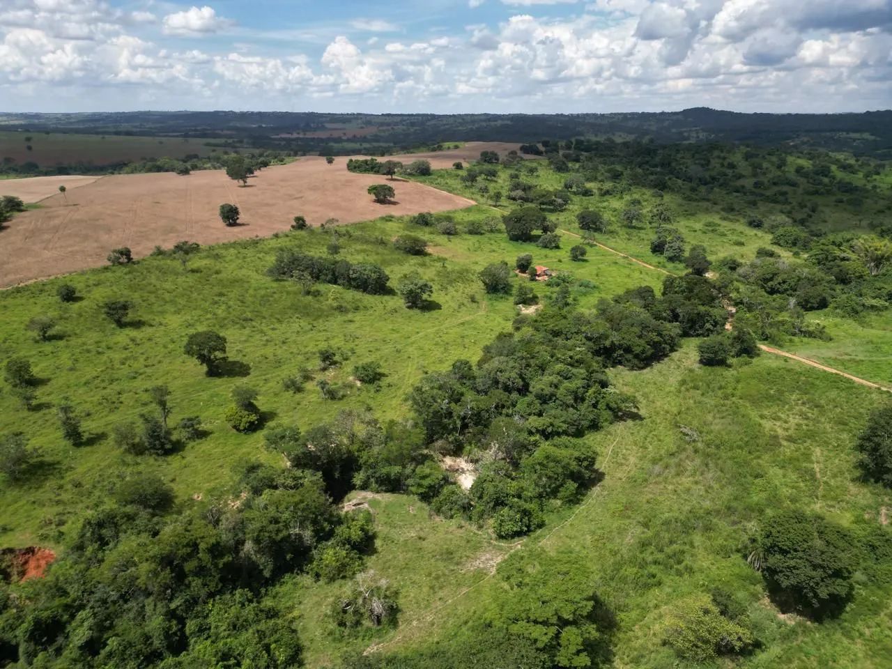 Fazenda 48 Alqueires - Cromínia-Go