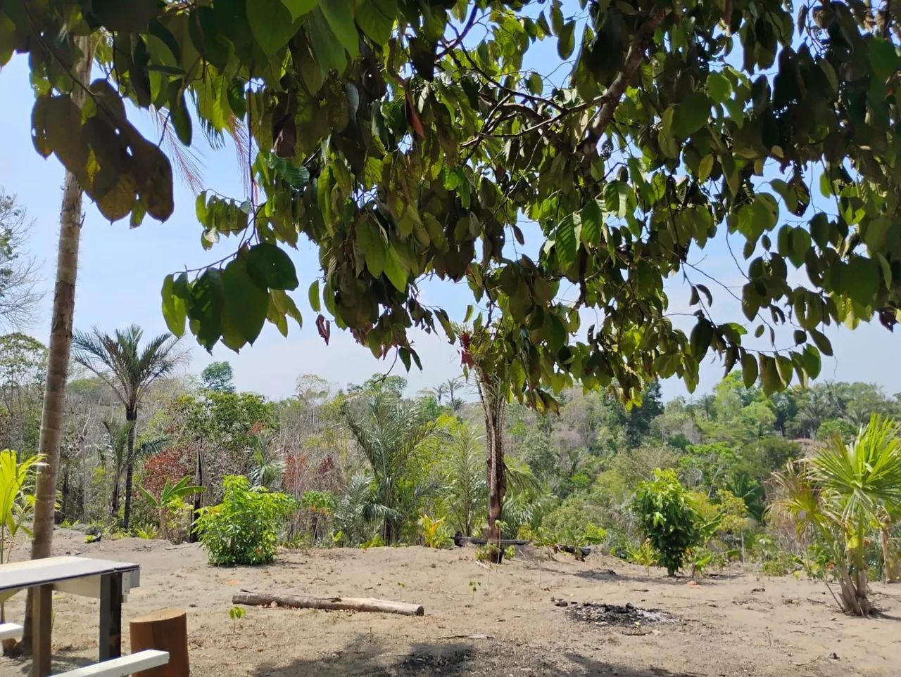 Alugo área de 6.000 M2 plantação  - Foto 5