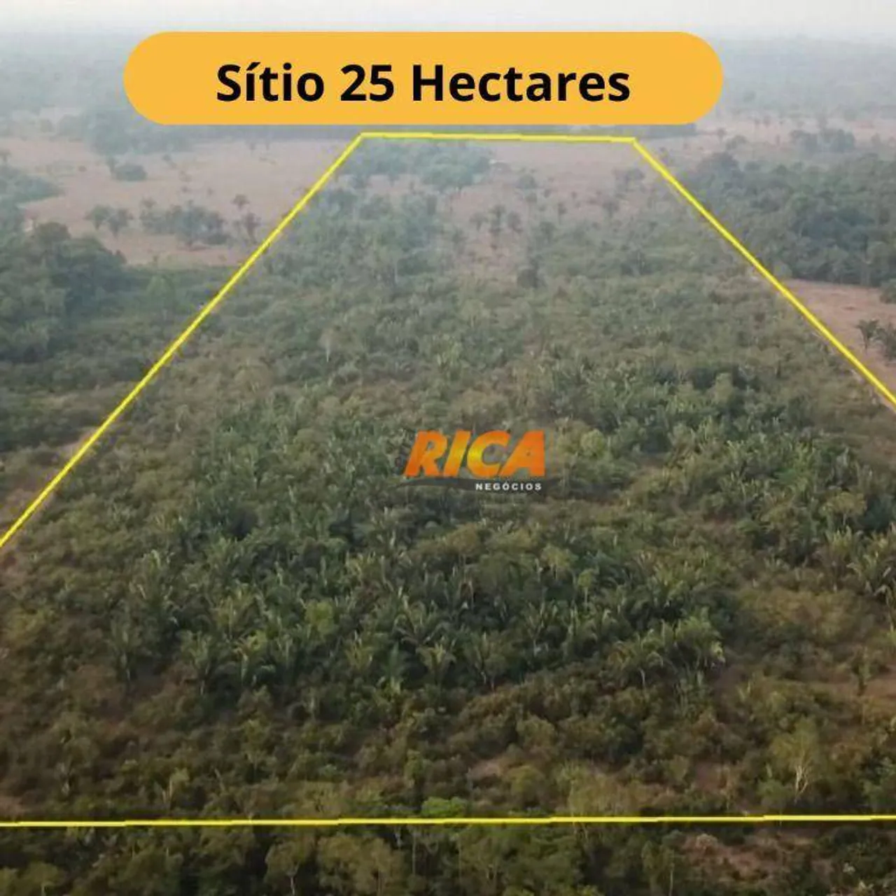 Sítio à venda, 250000 m² por R$ 750.000,00 - Área Rural de Porto Velho - Porto Velho/RO
