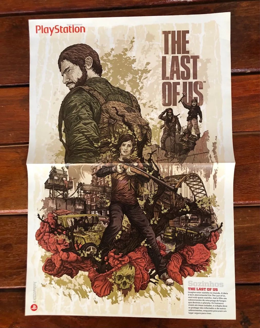 Poster The Last of Us - Playstation