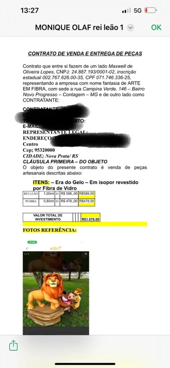 Rei leão e Pumba - Foto 5