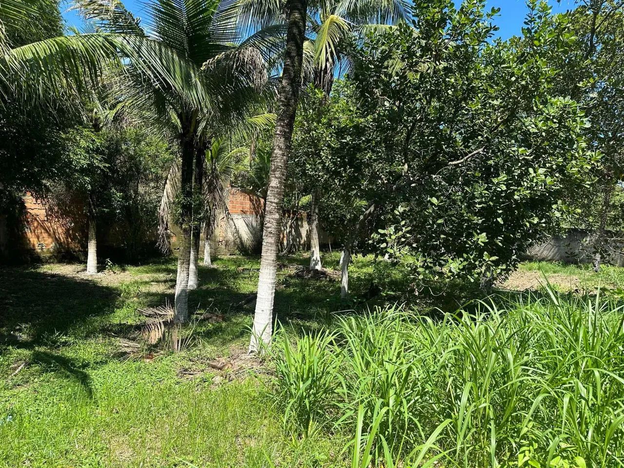 Vendo sítio em Tinguá ou troco por casa na Região dos Lagos.  - Foto 2
