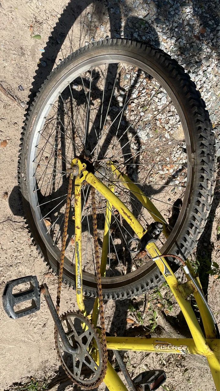 Bicicleta