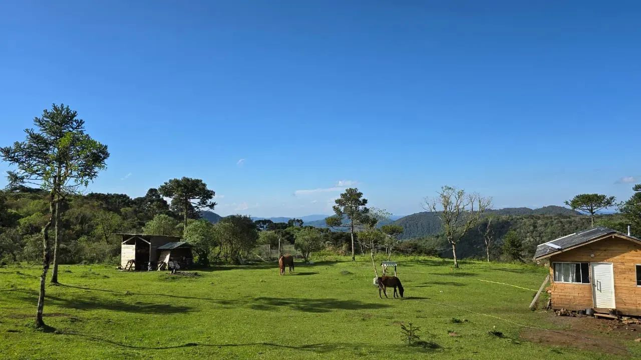 Terreno de Altitude com 8,6 hectares. - Foto 3