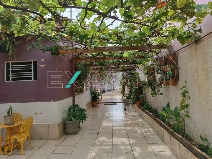 casa - Jardim Santa Mônica - Campinas - Foto 4