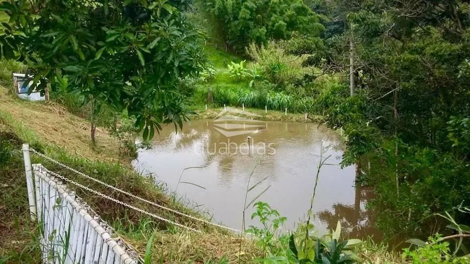 SITIO A VENDA EM MONTEIRO LOBATO - Foto 2