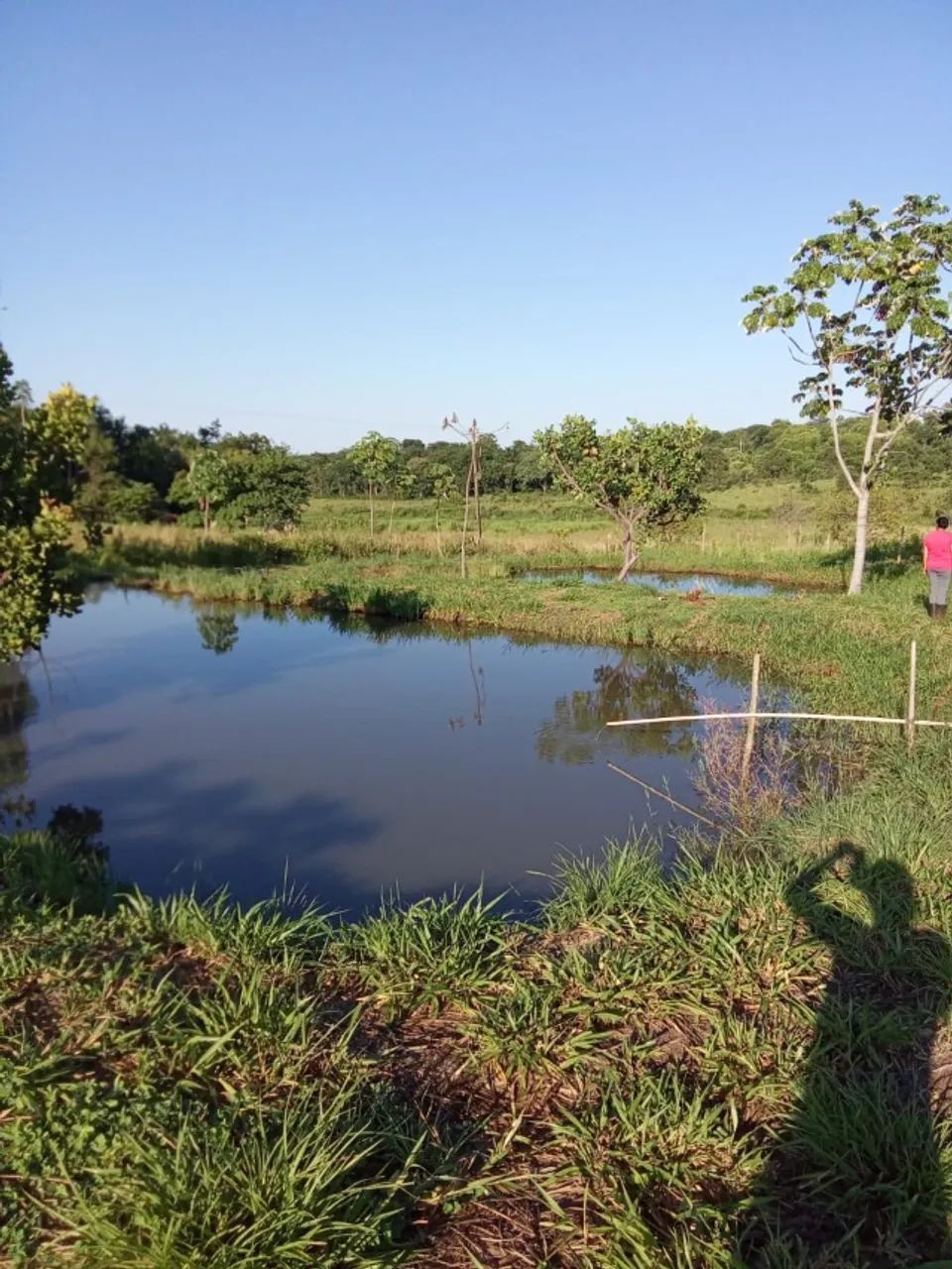  aluga chacara com 9 tanques pra criação de peixes - Foto 5