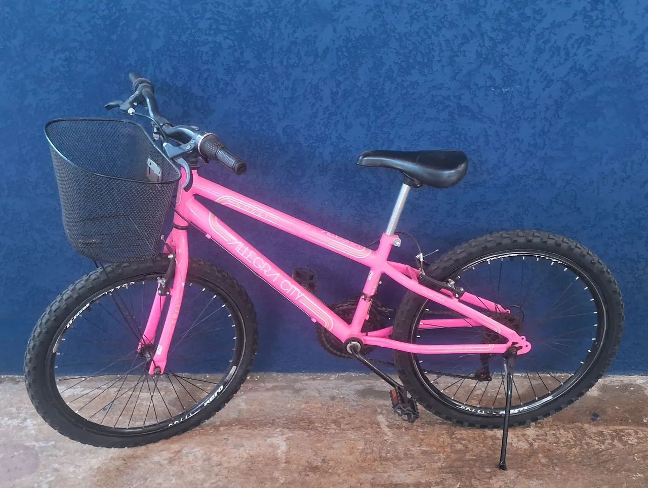 Bicicleta 