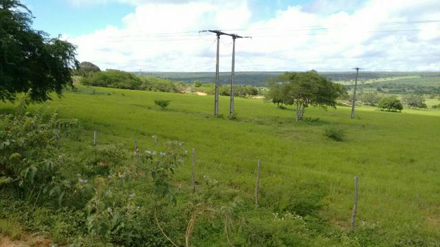 Fazenda em Ribeira do Pombal - Foto 8