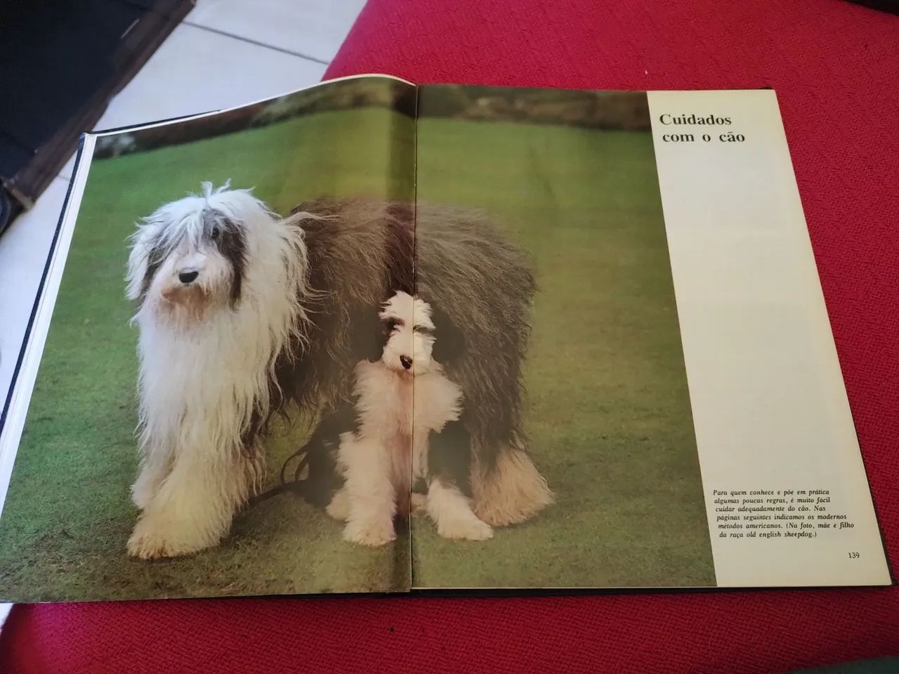 Enciclopédia Rara - Cães  - Foto 2