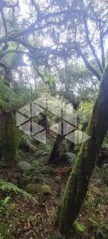 Cabanas em Urubici - SC - Foto 3