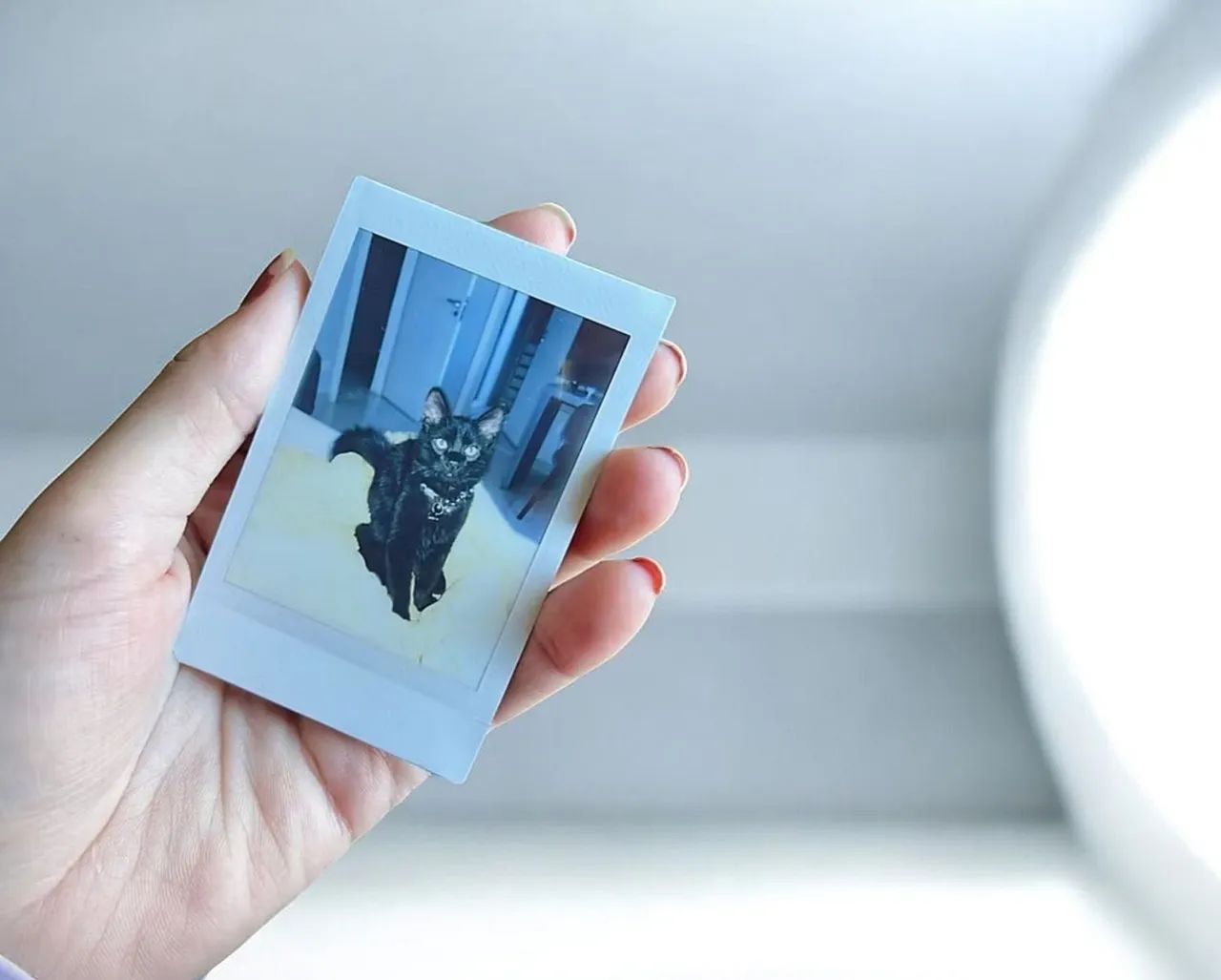 Máquina Polaroid