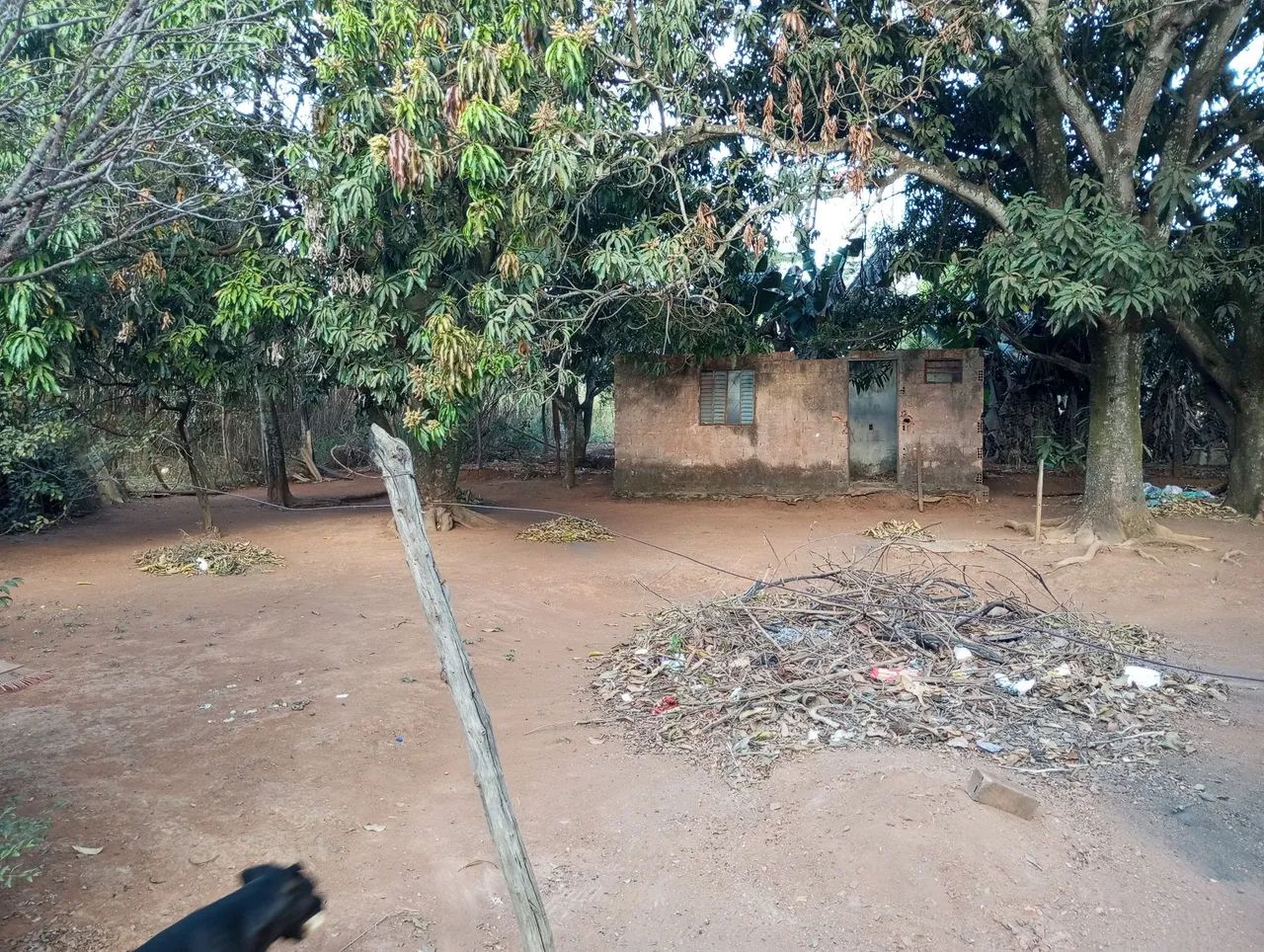 Vende se chácara  - Foto 5