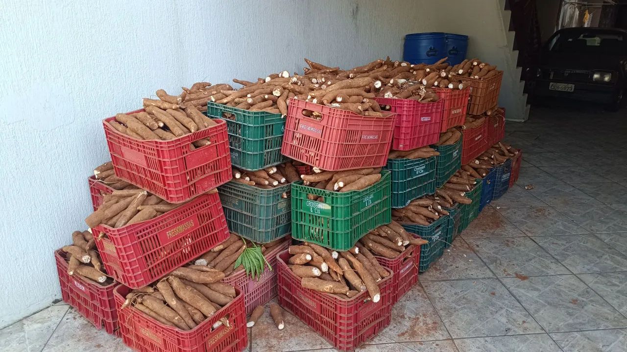 Caixa de mandioca  - Foto 2