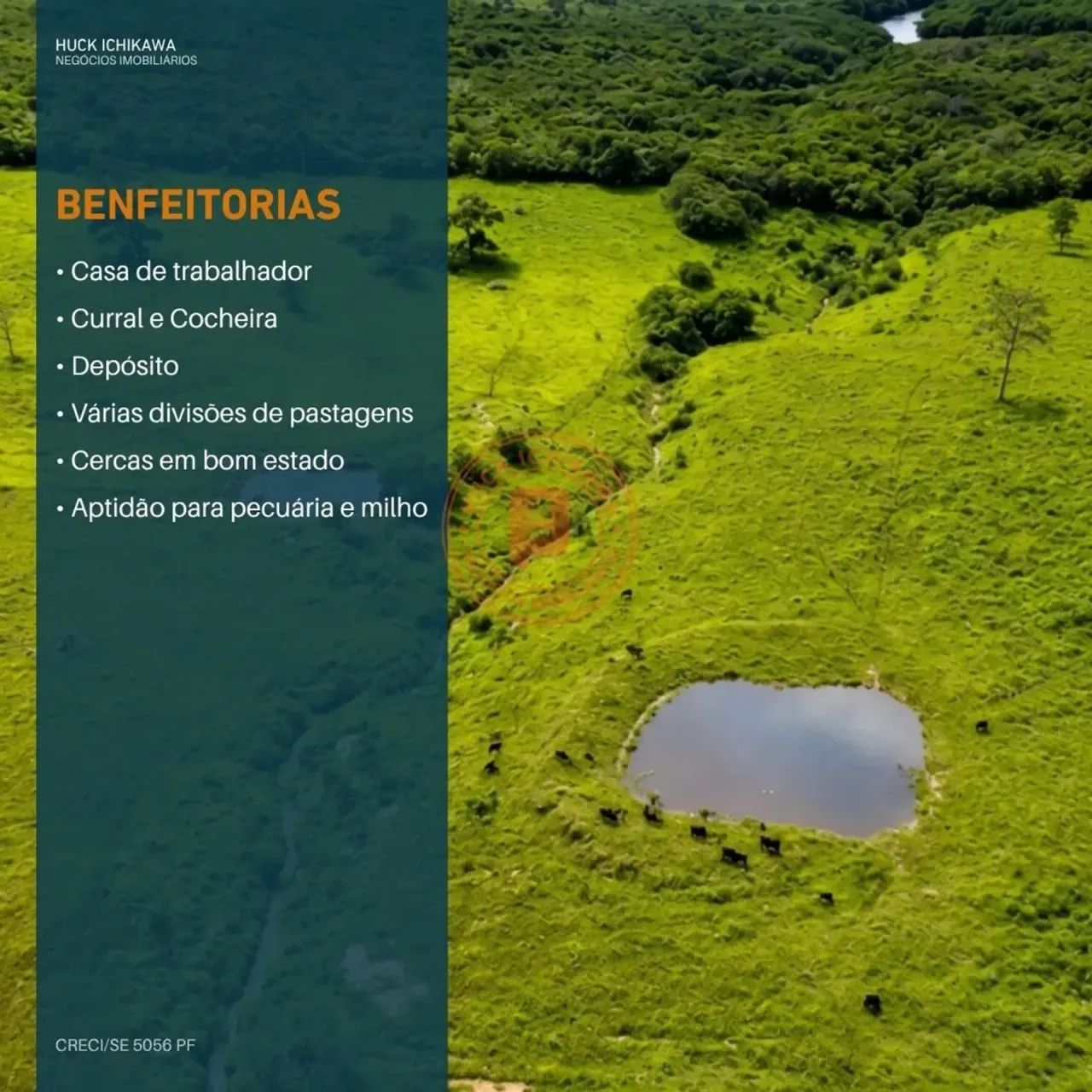 FAZENDA DE 93 TAREFAS - CUMBE - Foto 3