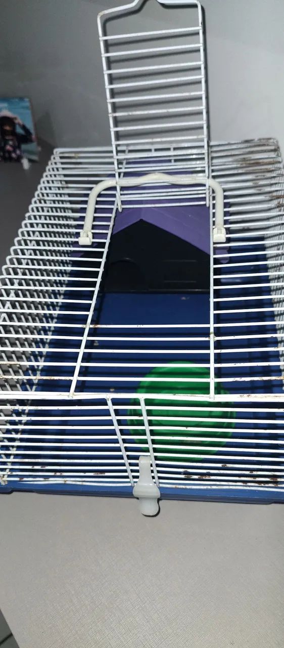 Gaiola tipo criadeira pequena  - Foto 3