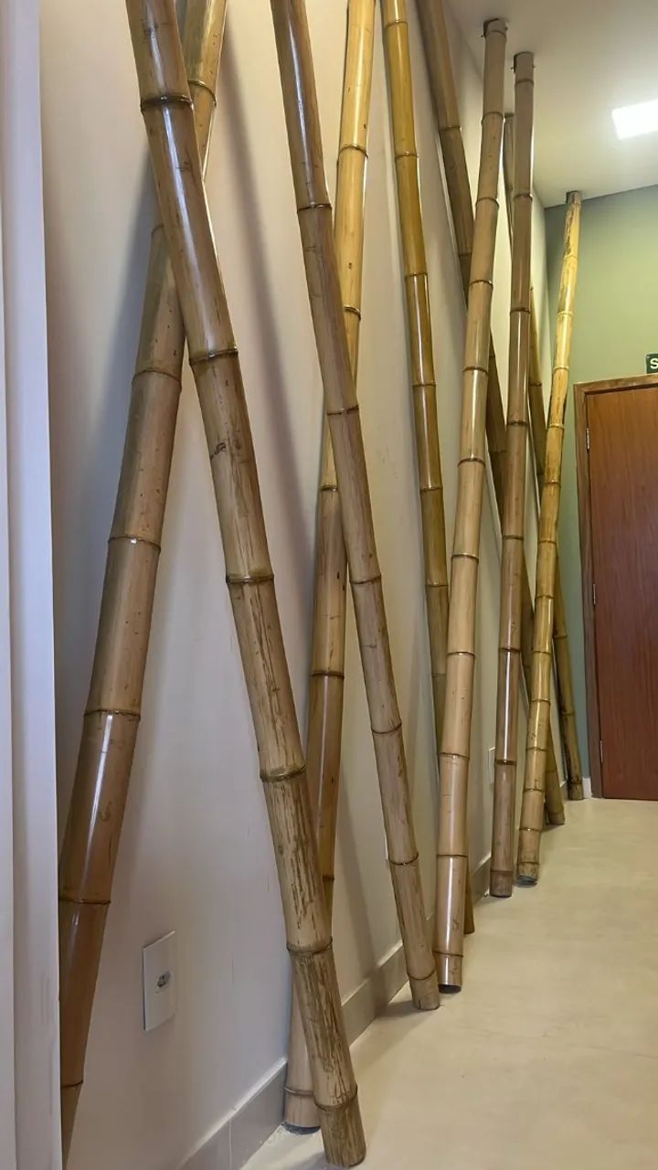 Bambu 3m de comprimento para Decoração - Foto 2