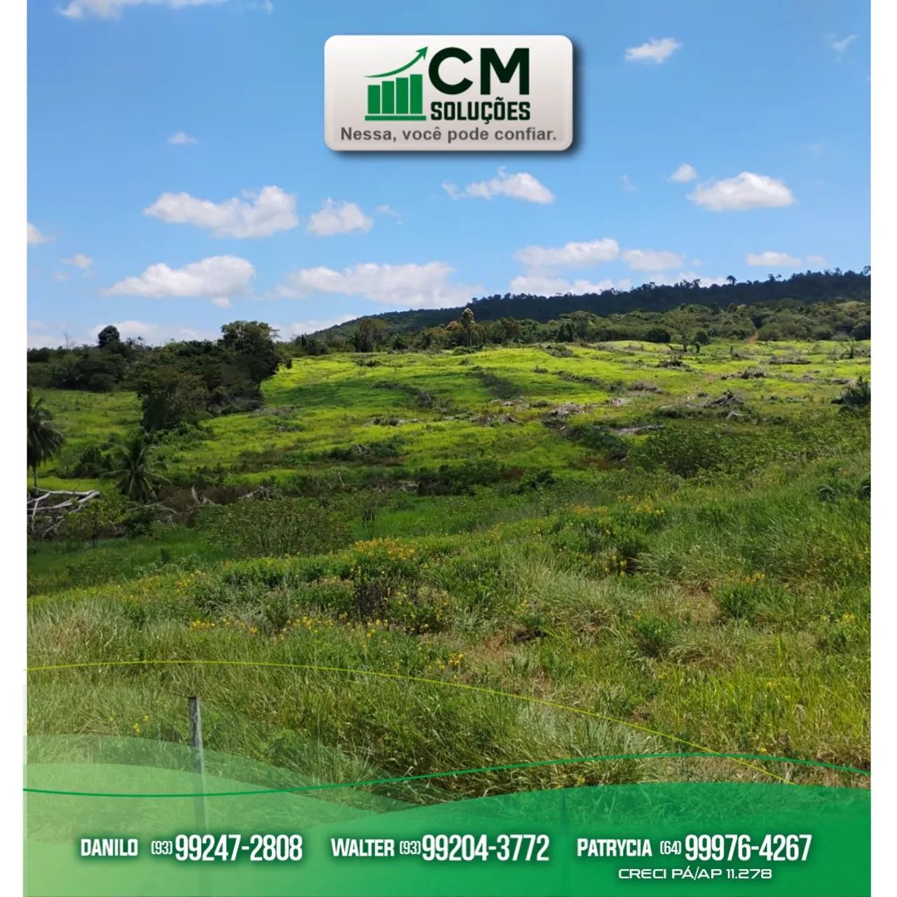 Fazenda à Venda no  Pará  - Região Sudoeste  - Foto 2