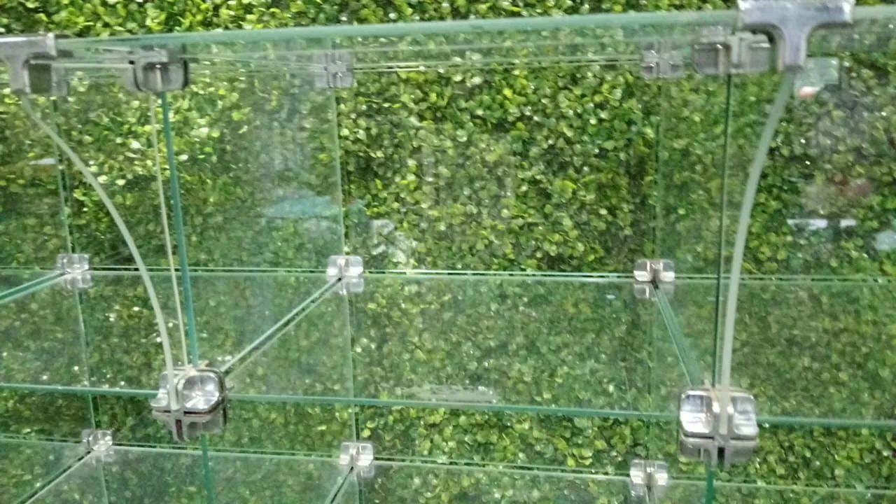 Balcão vitrine - Foto 3