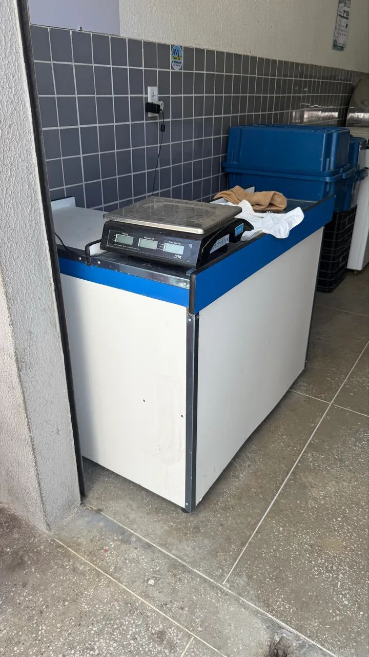 Balcão caixa e Balança, freezer 