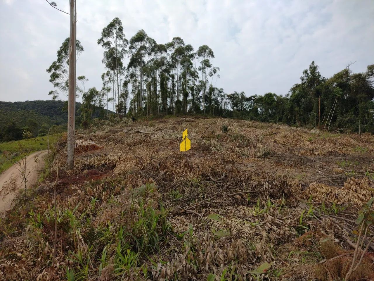 Terreno para Sítio - Foto 3