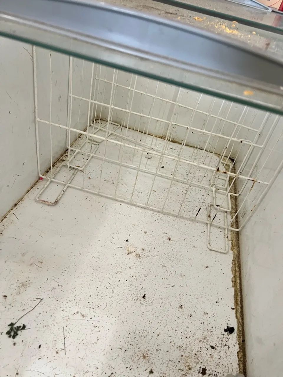 Freezer ilha  - Foto 2