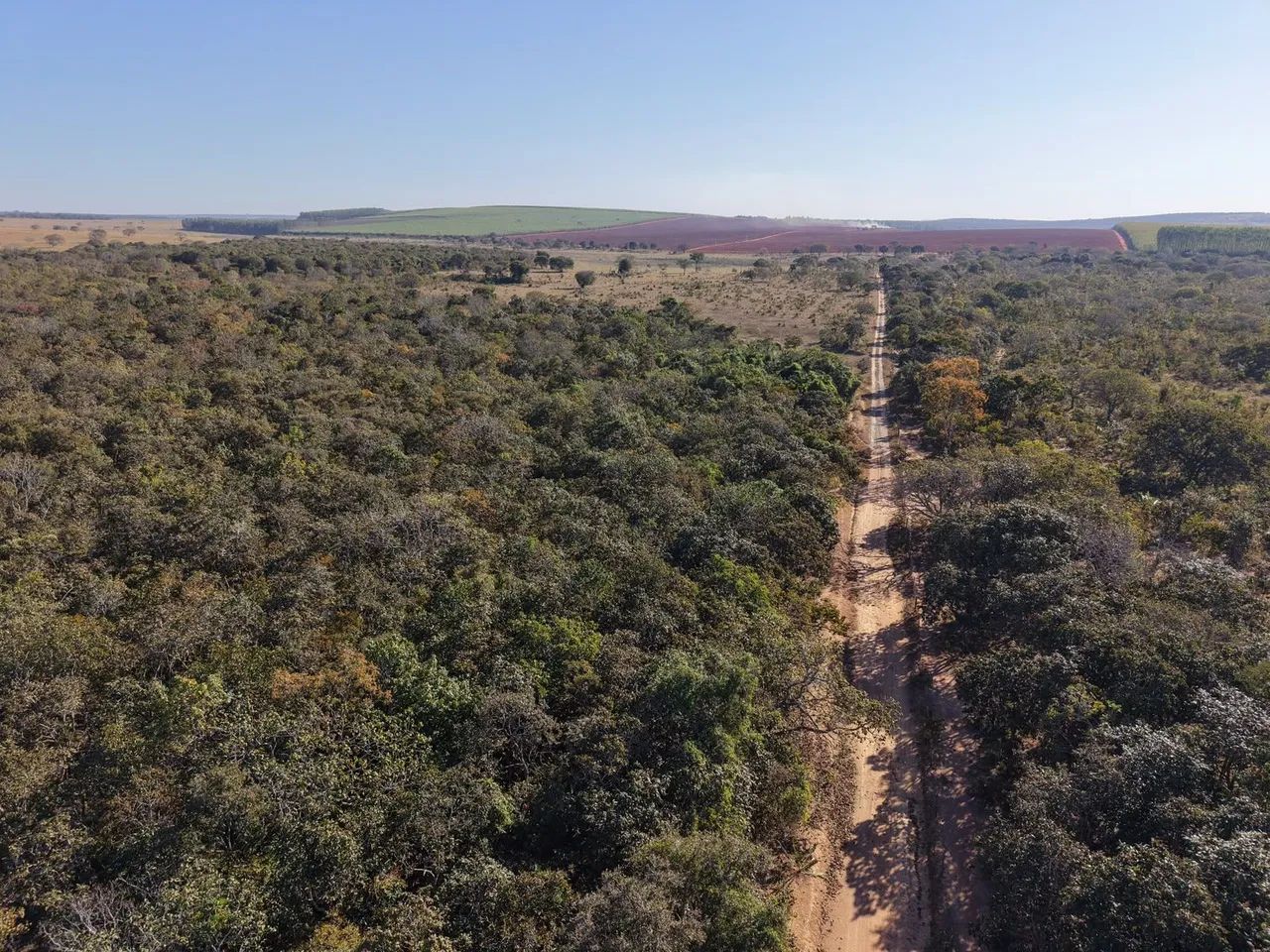 Fazenda 150hectares - Foto 3