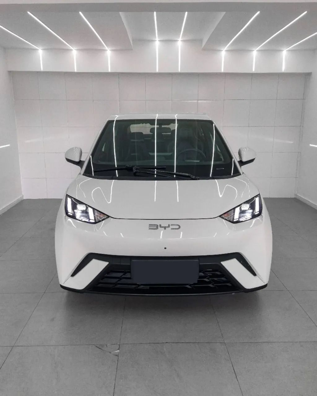 BYD Dolphin Mini (Elétrico) 2025 - Foto 5