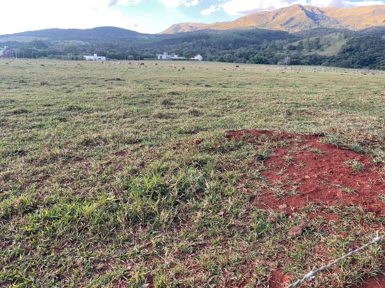 Terreno  - Foto 2