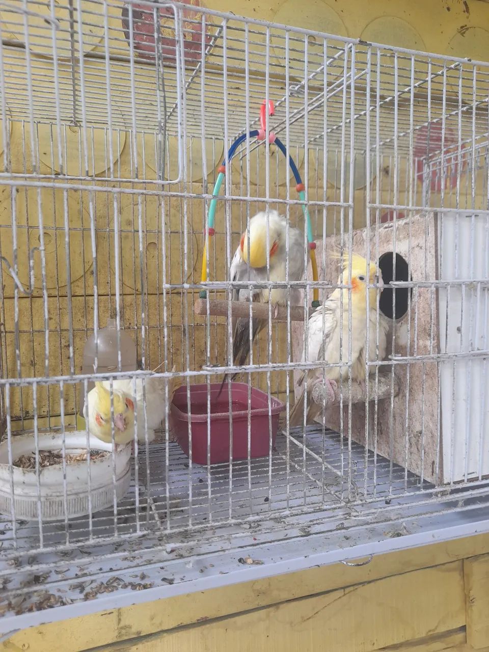 Estou vendendo  - Foto 2