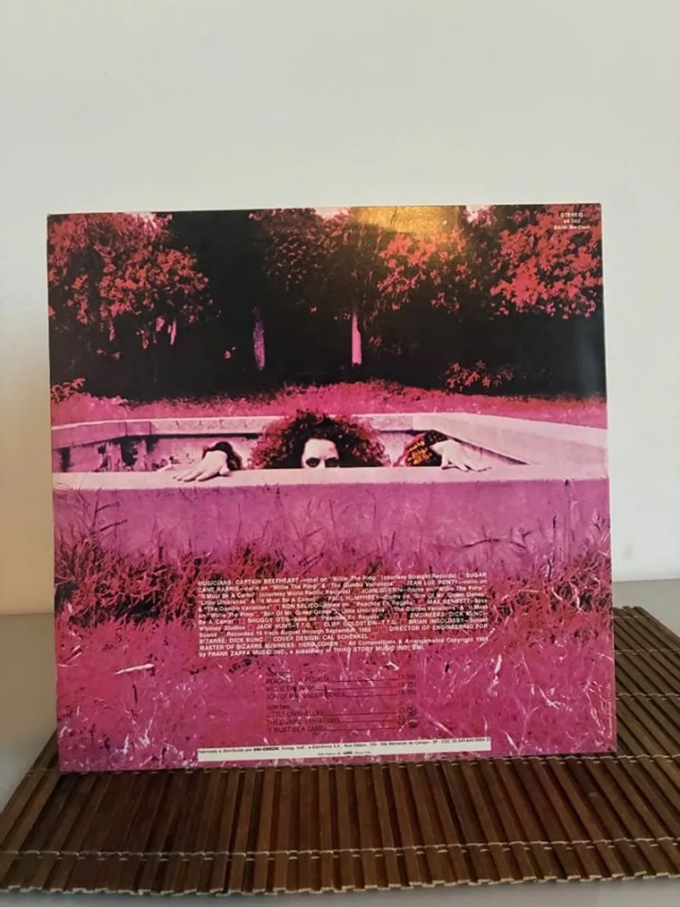 Vinil - Foto 2