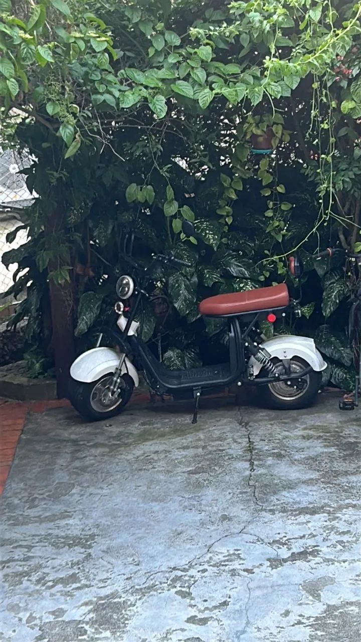 Mota elétrica  - Foto 3